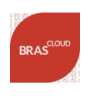 bras-logo