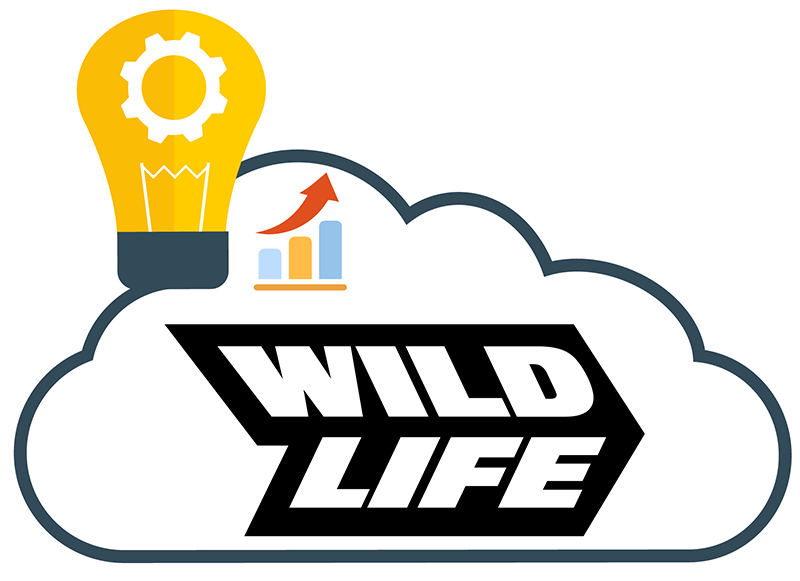 Wildlife Studios customer success story with AWS